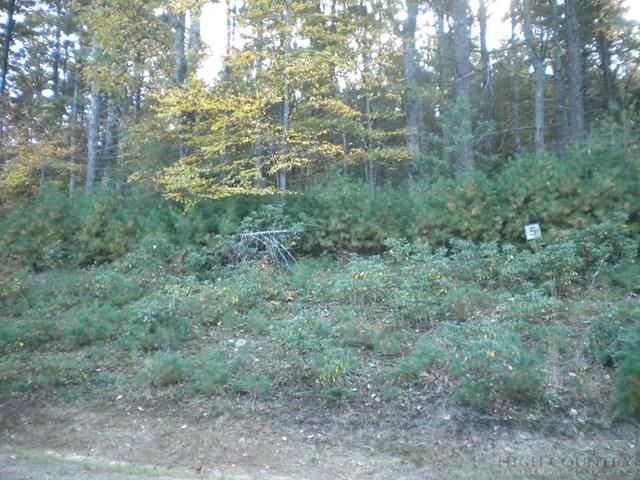 Lot 5 Pine Chase, Glade Valley, NC 28627