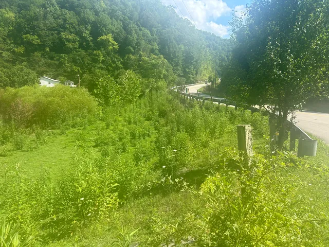9999 N  Highway 66 #N, Oneida, KY 40972