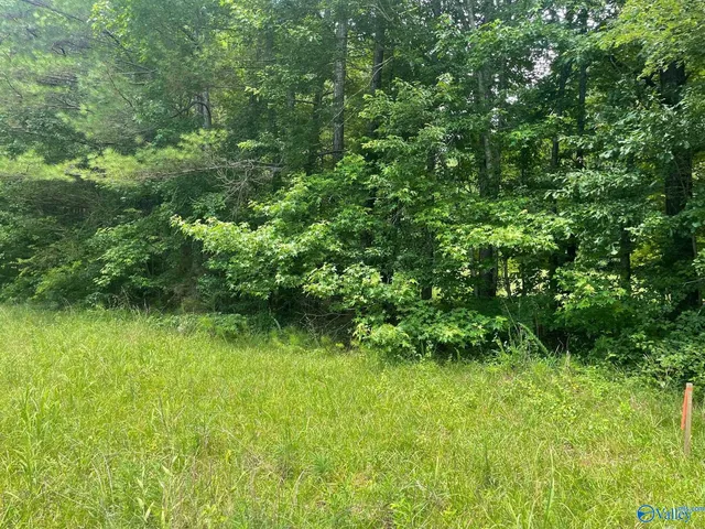 81AC County Road 1198, Cullman, AL 35057