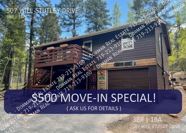 507 Will Stutley Dr, Divide, CO 80814