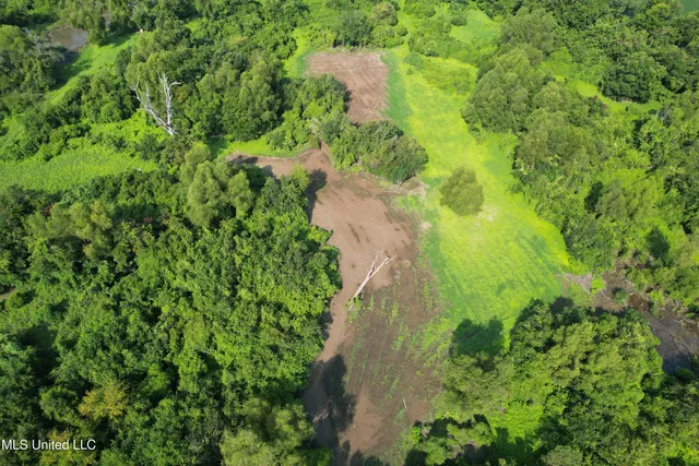 Old Twin Lake Rd, Vicksburg, MS 39183
