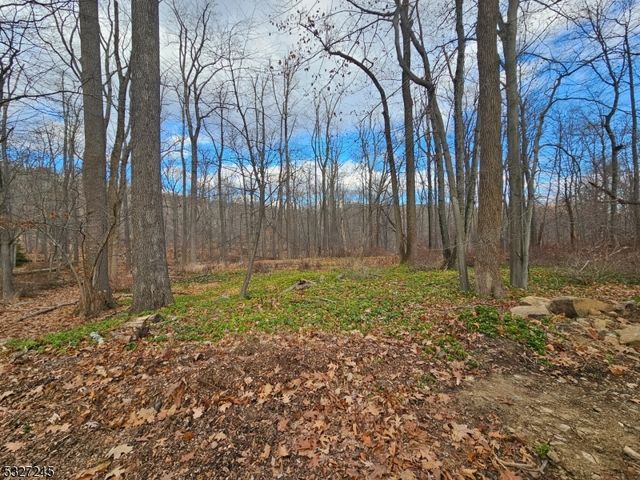 34 Starlight Dr, Morristown, NJ 07960