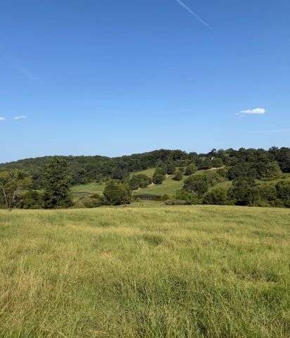 6056 Red Hollow Rd, Birmingham, AL 35215