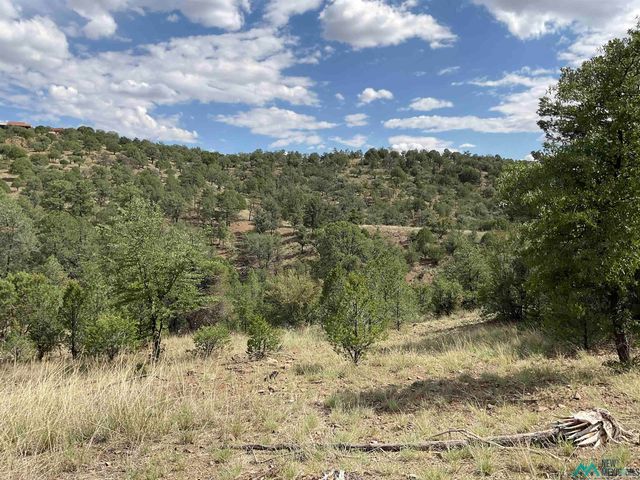 Lot 78 Everest Point Rd, Silver City, NM 88061