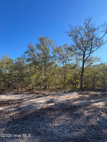 Lot 128 Coral Gull Street, Southport, NC 28461