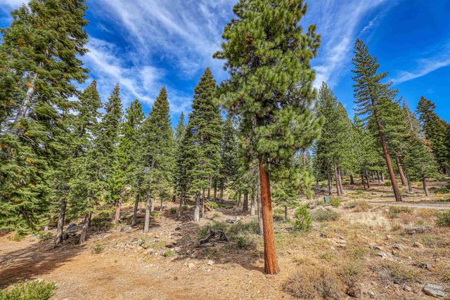 2645 Mill Site Rd, Truckee, CA 96161