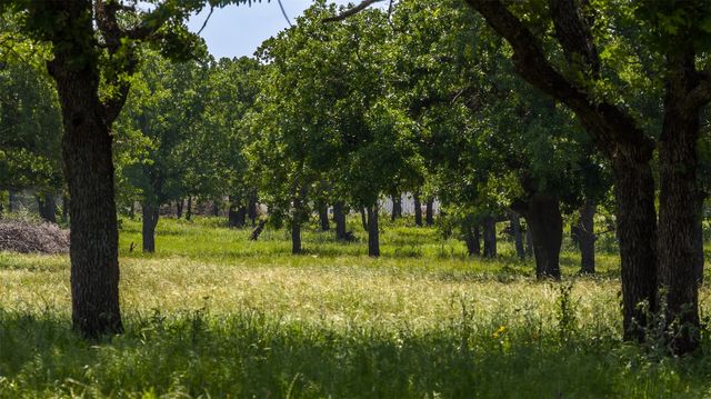 County Road 126, Gordon, TX 76453