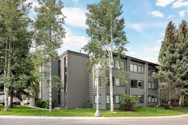 725 E  Main St #205, Aspen, CO 81611