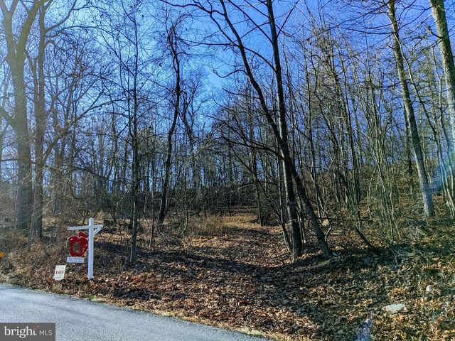 Lot 1 Trego Mountain Rd, Keedysville, MD 21756