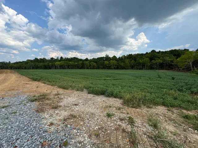 2493 Colfax Rd, Hillsboro, KY 41049