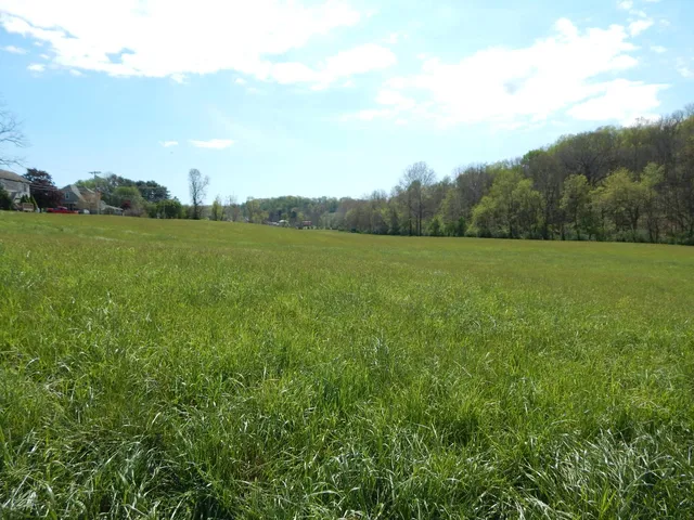 Smithville Rd, Harrisville, WV 26362