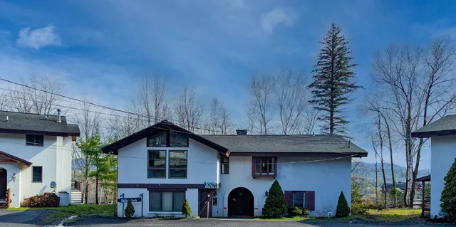 97 Clarence D Lane Rd #D, Windham, NY 12496