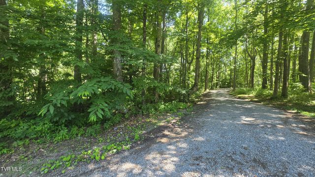 Tbd Forest Rd, Coeburn, VA 24230