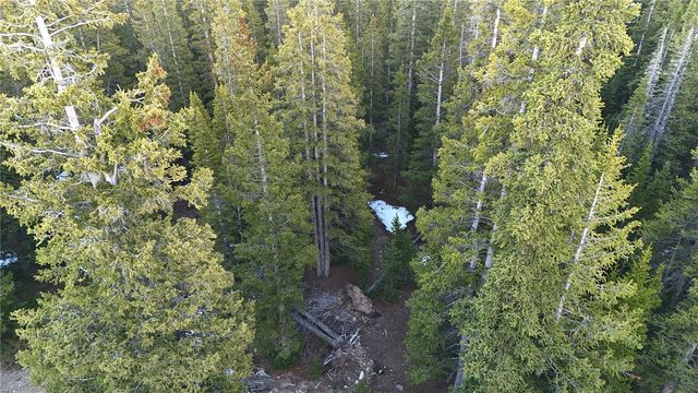 252 Silverheels Pl, Fairplay, CO 80440