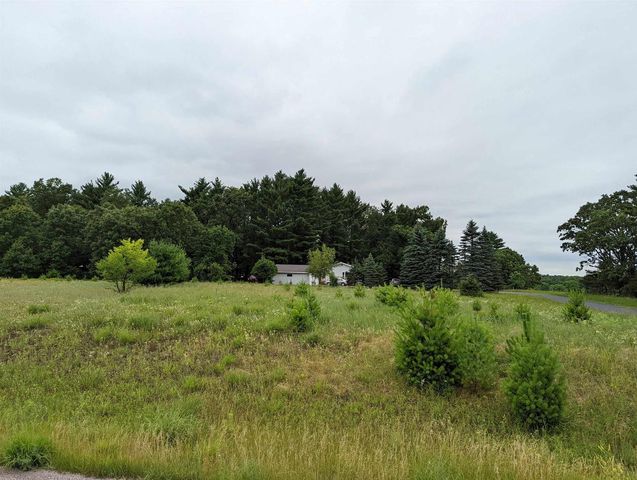 Lot 1 Gale Court LOT 1, Wisconsin Dells, WI 53965