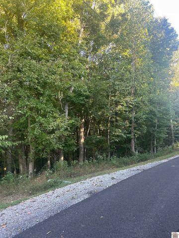 Woodfield Ests, Cadiz, KY 42211