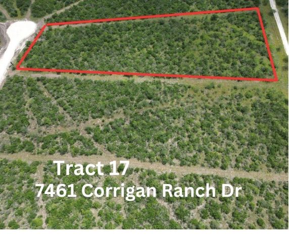 7460 Corrigan Ranch Tract Rd   #17, Skidmore, TX 78389