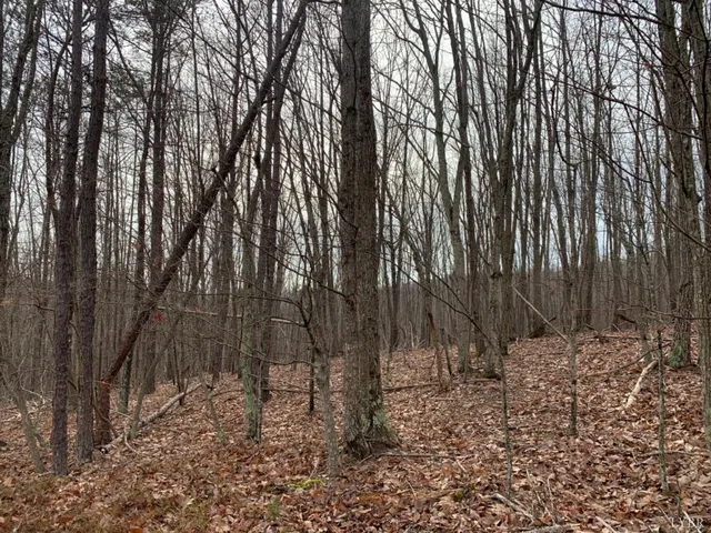 Christian Mill Creek Rd #52, Amherst, VA 24521
