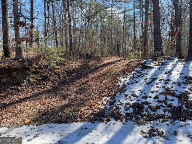 1 Old Federal Rd, Ellijay, GA 30540