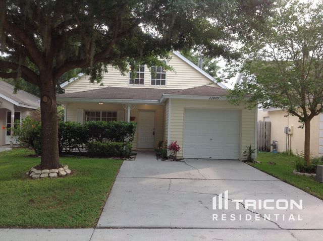 22809 Saint Thomas Cir, Lutz, FL 33549