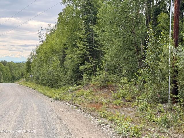 21501 E  Caswell Lakes Rd, Willow, AK 99688