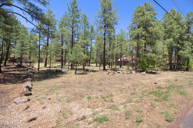 7466 Buck Springs Rd   #175, Pinetop, AZ 85935