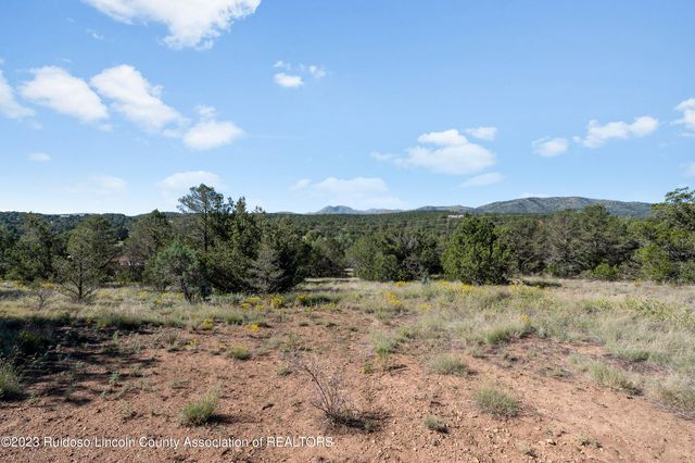 LOT State Highway 37 #A, Nogal, NM 88341