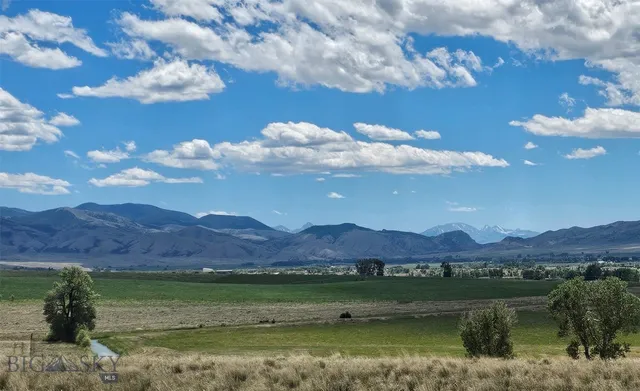 Tbd Mill Gulch Rd, Sheridan, MT 59749