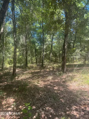 00 Dove Court, Chipley, FL 32428