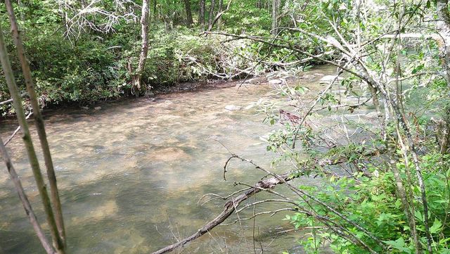 McDonald Rd #9, Murphy, NC 28906