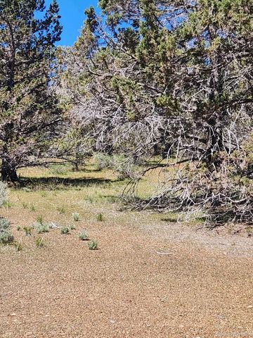 509-265 Stone Rd, Susanville, CA 96130