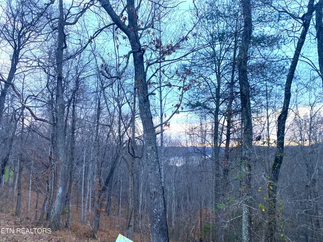 Demory Rd, La Follette, TN 37766