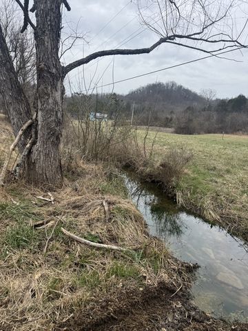 Wells Hollow Rd, Petersburg, TN 37144
