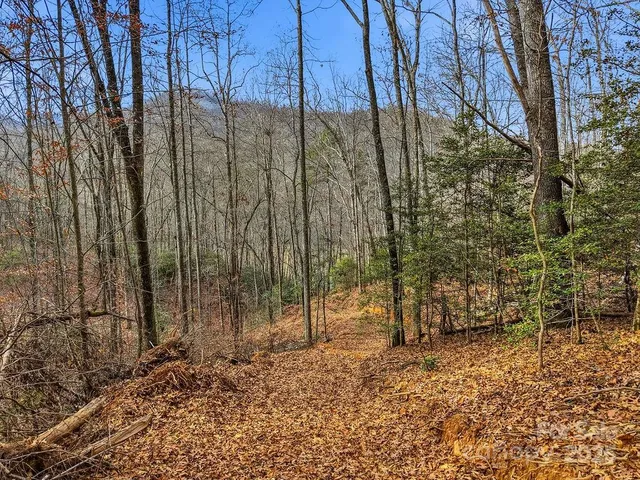 Barkers Creek Rd, Whittier, NC 28789