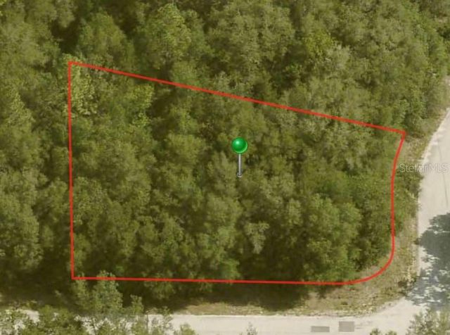 10098 N  Halsey Way #10, Dunnellon, FL 34434