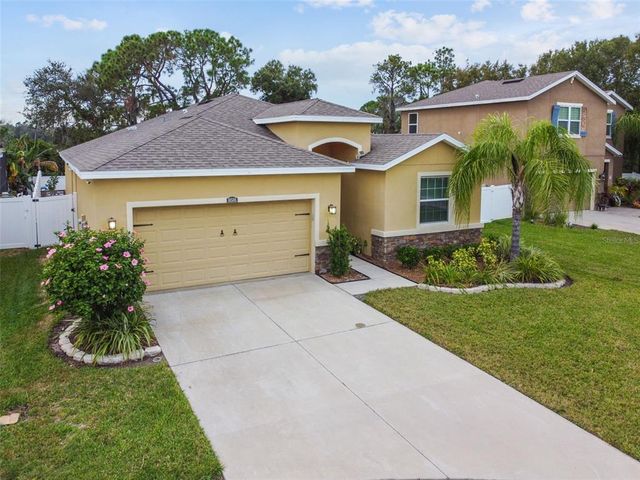 10508 Scenic Hollow Dr, Riverview, FL 33578
