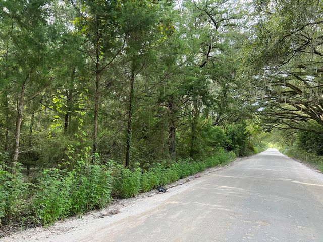 LOT 4 NW 22nd Ct, Bell, FL 32619