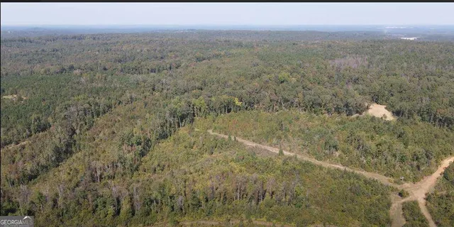 72 17th Highway 112 SE, Toomsboro, GA 31090