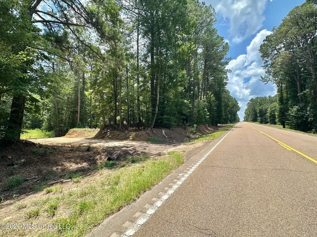 1 Highway 35, Carthage, MS 39051