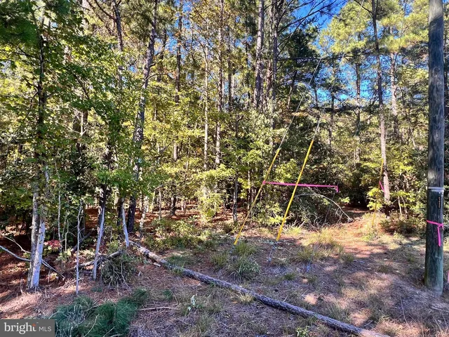 Glebe, Montross, VA 22520