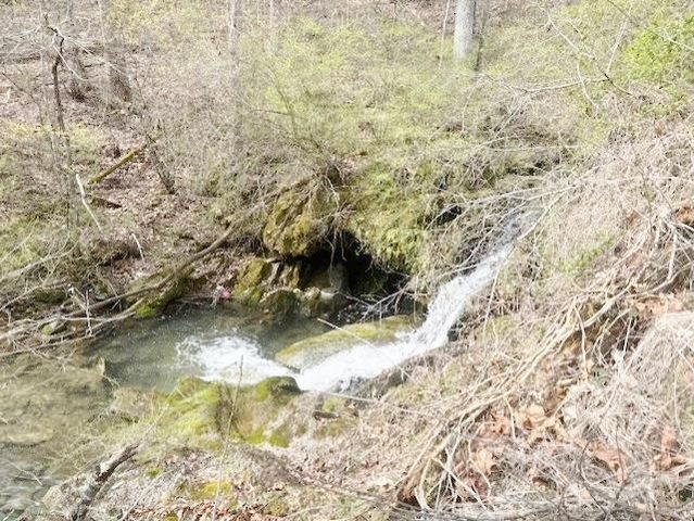 Atkins Mill Rd, Wytheville, VA 24382