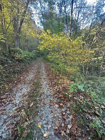 Cannon hill Rd, Rowlesburg, WV 26425