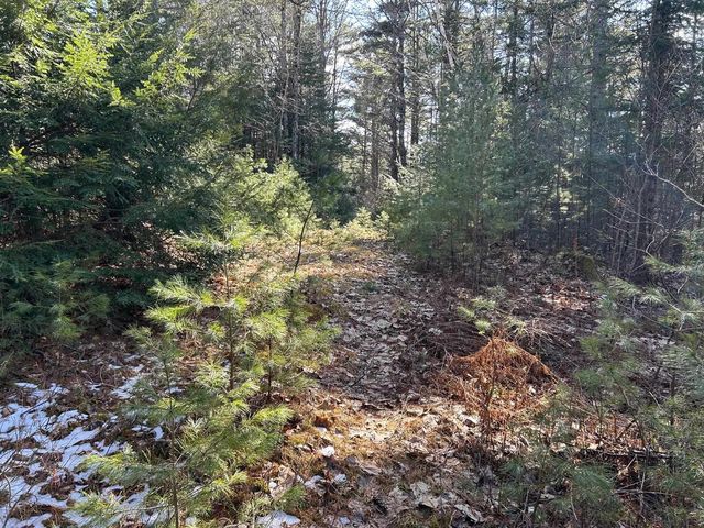 Swiftwater Circle UNIT 177, Woodsville, NH 03785