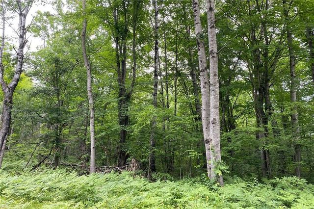 Lot 18 Tanglewood Court, Cable, WI 54821