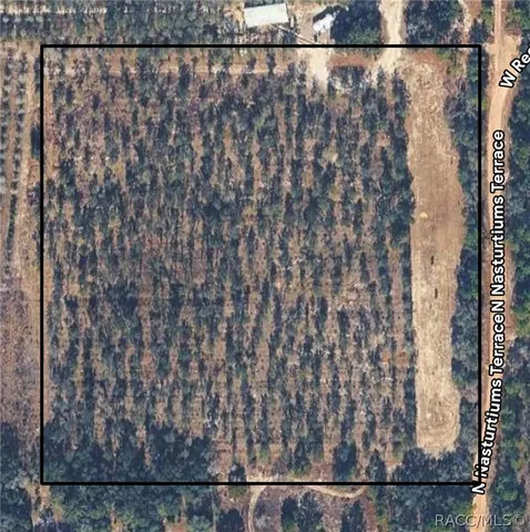 8308 N  Nasturtiums Ter, Dunnellon, FL 34433