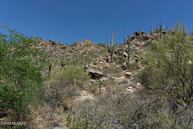 1141 W  Tortolita Mountain Cir  #177, Tucson, AZ 85755