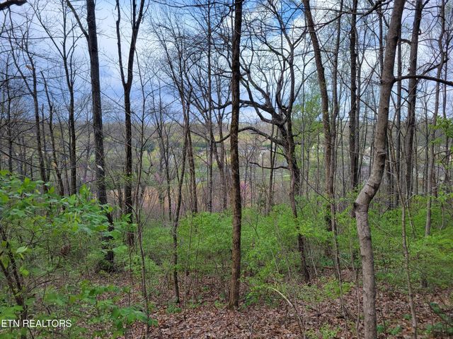 Lot 16 Rifle Range Dr, Knoxville, TN 37918