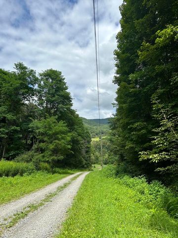 TRACT Two Little Mountain Dr, Hillsboro, WV 24946