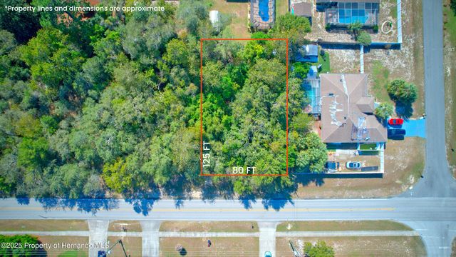 12606 N  Linden Dr, Spring Hill, FL 34609