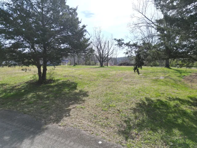 0A Roney Ave, Hohenwald, TN 38462